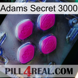 Adams Secret 3000 02